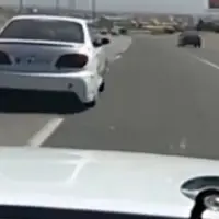 توقف ماکسیما با سرعت ۱۸۰ کیلومتر توسط پلیس