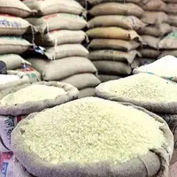 ثبت‌ سفارش جدید برنج آغاز شد