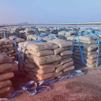 دبیر کانون انبوه‌سازان: انجمن سیمان هر زمان بخواهد قیمت‌ها را تغییر می‌دهد!