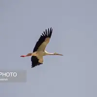 سفری به قلب میاندوآب تاریخی