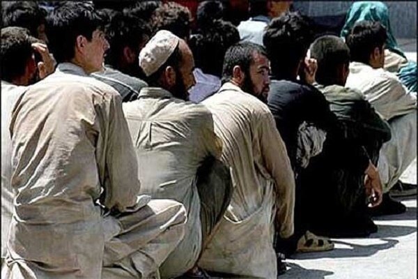 جمع‌آوری ۱۷۲ نفر اتباع بیگانه غیر مجاز در زهک