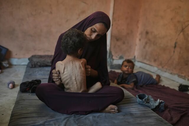فقط در ۲۴ ساعت گذشته؛ ۵۳۳ فلسطینی زخمی و شهید شدند
