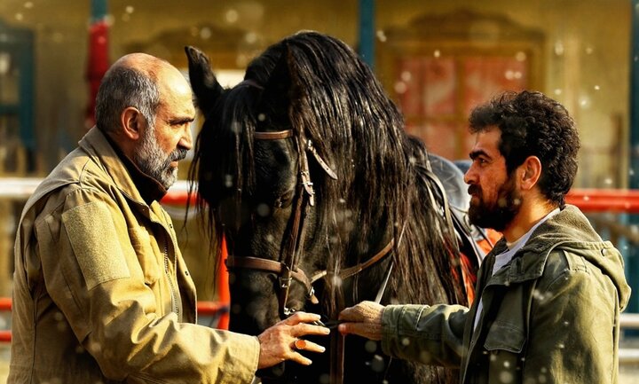فیلم‌های جدید اکران مشخص شد؛ تدارک نمایش «کوسه» و «ناتوردشت»