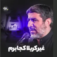مداحی "غیر کربلا کجا برم" از مهدی سلحشور