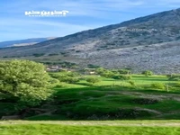 زیبایی دشت سوسن ایذه