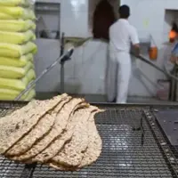 تشکیل پرونده برای ۱۱۵ واحد نانوایی متخلف در قزوین