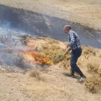 اقدام شجاعانه فرماندار ملایر در مهار حریق اراضی ملی