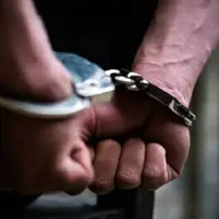 دستگیری عنکبوت زرد پس از ۶ سال فرار 