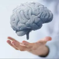 ۴ عادت طلایی برای سلامت مغز