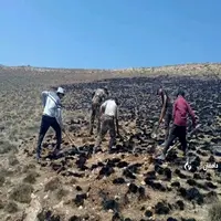 مهار حریق در مراتع شمال دامغان