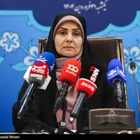 وزیر راه: پروازهای اربعین در صورت صدور مجوز از عراق بیشتر می‌شود