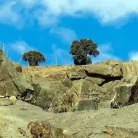 صدای تشنگی در کوهپایه‌های ساوجبلاغ