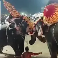فیل خشمگین مراسم مذهبی سریلانکا را به هم ریخت!