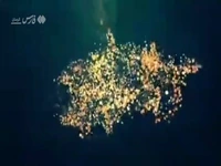 صحنه‌هایی از عشق و ارادت در راه‌اندازی یک موکب
