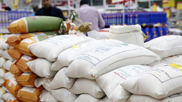 رئیس انجمن برنج: تهمت احتکار را نمیپذیریم!