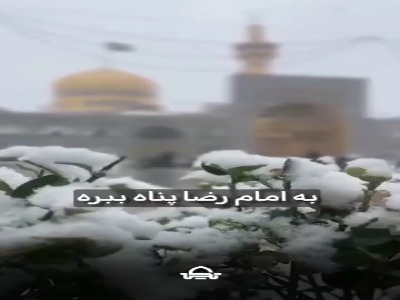 امام رضا(ع) به استحقاق ما نگاه نمی‌کند