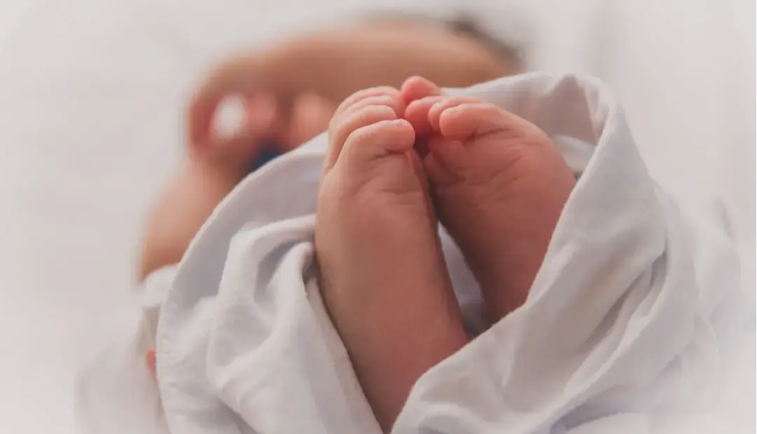 تولد ۱۳ میلیون نوزاد از لوله آزمایش؛ نخستین گزارش جهانی از آمار تولدهای IVF منتشر شد