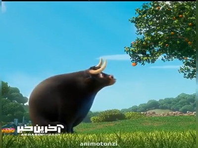 وقتی نمی‌خوای شرایط رو قبول کنی 