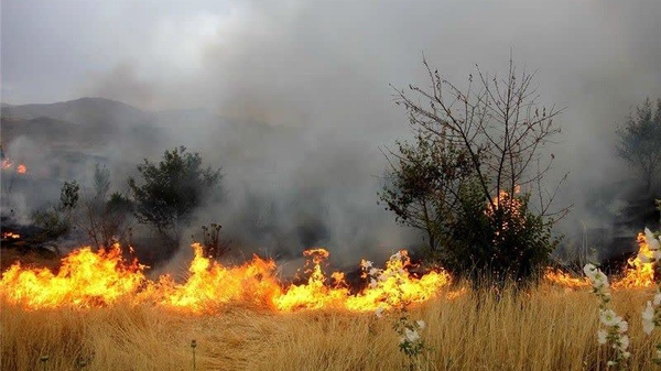 آتش در کوه دراک شیراز زبانه کشید