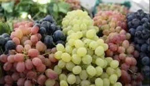 خواص معجزه آسای این میوه بهشتی برای سلامت قلب و مغز