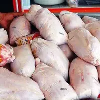معدوم‌سازی ۶۵۰ کیلوگرم مرغ فاسد در بروجرد