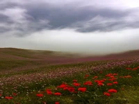 ییلاق زیبای سوباتان