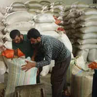 تداوم اجرای طرح نظارت بر بازار برنج گیلان با ۲۱۳ اکیپ گشت مشترک