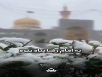 امام رضا(ع) به استحقاق ما نگاه نمی‌کند