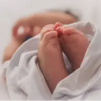 تولد ۱۳ میلیون نوزاد از لوله آزمایش؛ نخستین گزارش جهانی از آمار تولدهای IVF منتشر شد