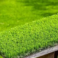 چرا با وجود کمبود آب باز هم چمن‌کاری متوقف نمی‌شود؟