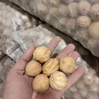 کشف لیموخشک غیر بهداشتی در جیرفت