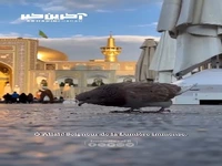 استوری/ اللّـهُمَّ رَبَّ النُّورِ الْعَظیمِ...