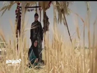 پیغام آنیه برای طوبی