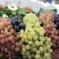 خواص معجزه آسای این میوه بهشتی برای سلامت قلب و مغز