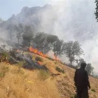 تلاش‌ها برای اطفای حریق در جنگل‌های لردگان ادامه دارد
