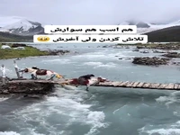 تلاش اسب و سوارش برای جلوگیری از سقوط پل