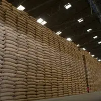 انتقاد از ارائه آمار اشتباه در بازار برنج
