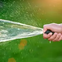 هدررفت ۳۰ درصدی محصولات و مصرف ۱۸۰۰ میلیون مترمکعب آب در کشاورزی تهران