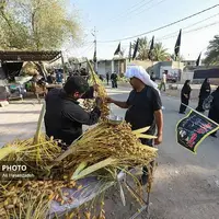 پیاده روی اربعین حسینی نجف به کربلا 