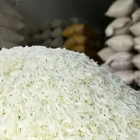 مختاریان: ساختار فعلی بازار برنج نیازمند اصلاحات بنیادین است