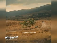 «طعم گیلاس»؛ نخل طلای سینمای ایران