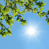 کاهش دما در گیلان از شنبه هفته آینده