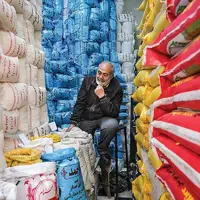 داستان پررنج برنج