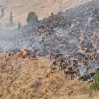 حریق در اراضی جنگلی روستای صمغ‌آباد آبیک مهار شد