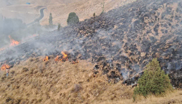 حریق در اراضی جنگلی روستای صمغآباد آبیک مهار شد