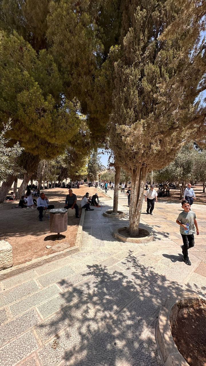 حضور نمازگزاران فلسطینی در مسجد الاقصی برای اقامه نماز جمعه 