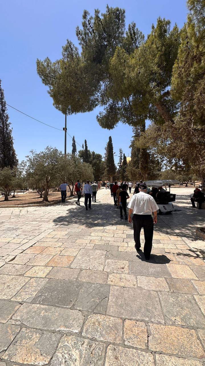حضور نمازگزاران فلسطینی در مسجد الاقصی برای اقامه نماز جمعه 