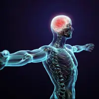 قیمت مواد تشکیل دهنده بدن انسان چقدر است؟ 