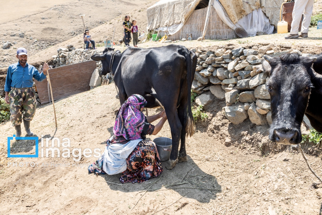کوچ ییلاقی عشایر «قاراداغ»