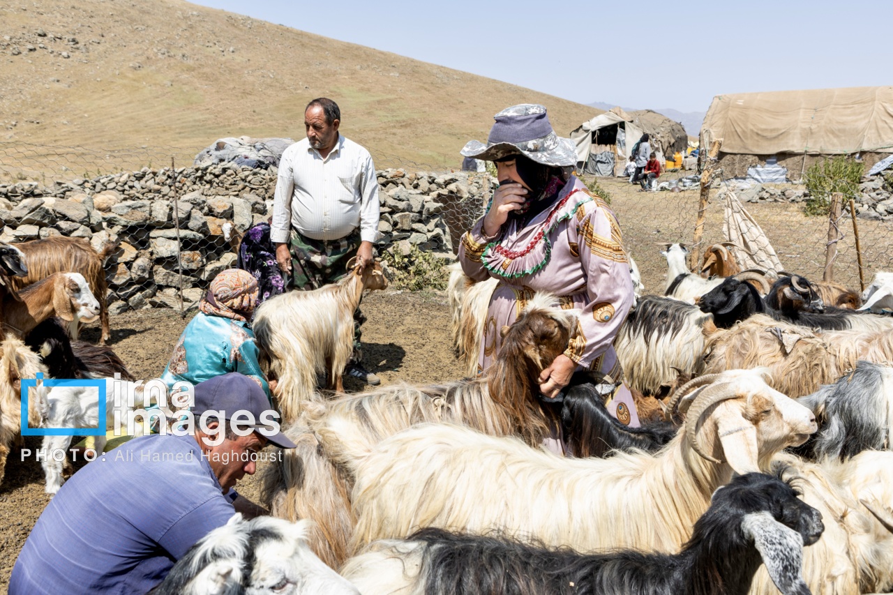 کوچ ییلاقی عشایر «قاراداغ»